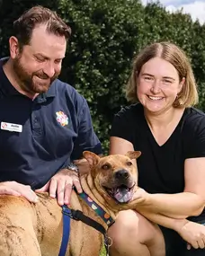 Happy Paws Happy Hearts